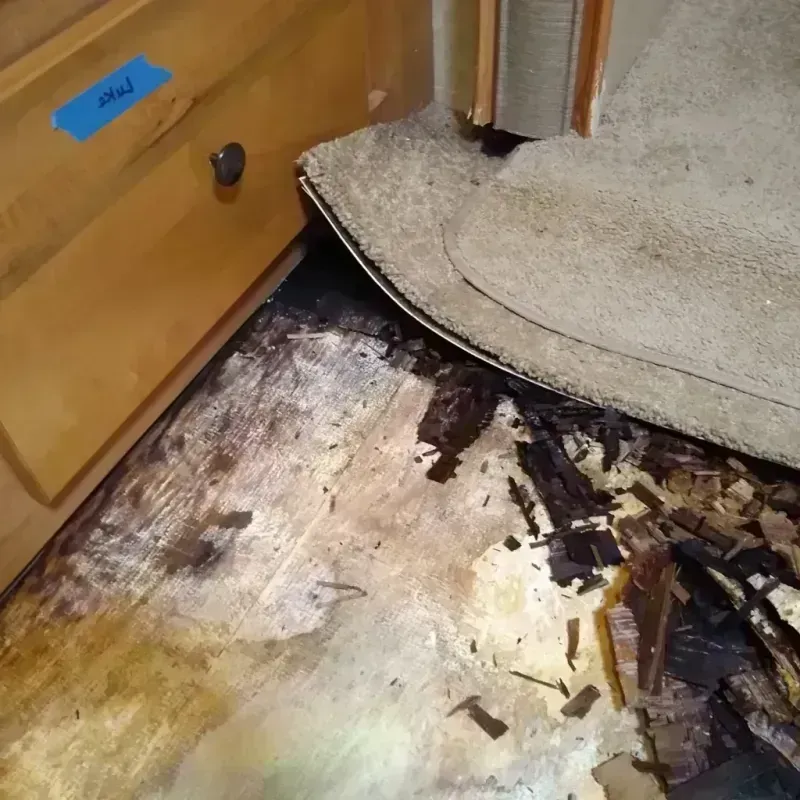 Best Wood Floor Water Damage Service in Metcalfe, MS